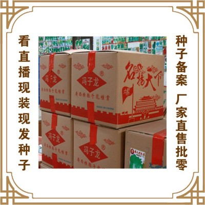 福田珍珠早熟苦瓜F1喜良种子厂家直售批零大田基地大棚露地四季种图4