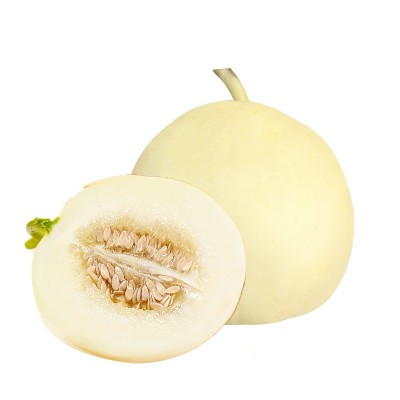 极早18早熟白甜瓜种子 5g白皮香瓜薄皮甜瓜种子 大棚菜园香瓜种子图5