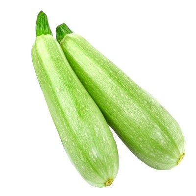 耐热西葫芦种子 美玉111 瓜皮油亮500粒耐病家庭菜园基地蔬菜种籽图4