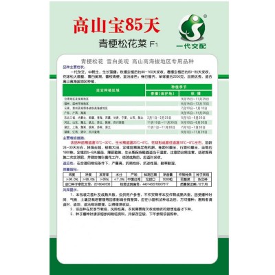 高山宝85天松花菜种子耐寒耐湿抗病高产厂家直销2000粒蔬菜种籽子图2