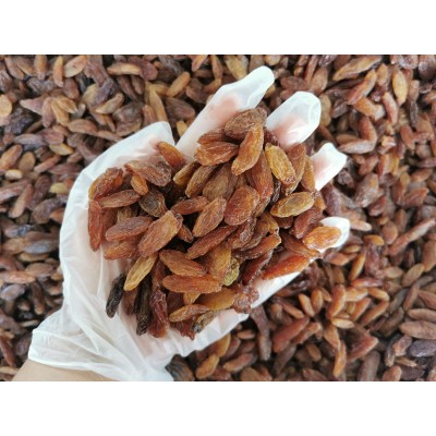 新疆特产吐鲁番葡萄干高端清洗类绿葡萄干大粒黄金提图3