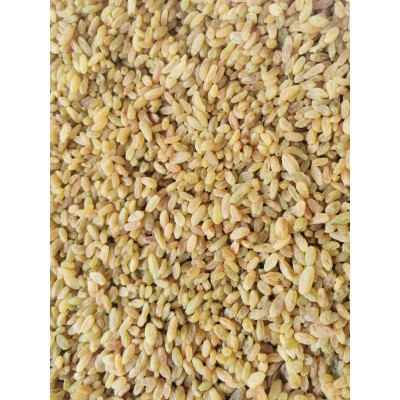 新疆特产吐鲁番葡萄干高端清洗类绿葡萄干大粒黄金提图5