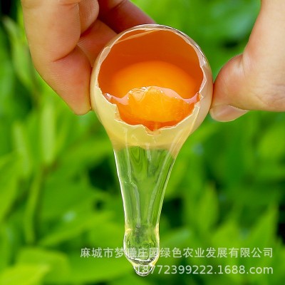 批发长期大量供应新鲜鸡蛋大别山农村鲜鸡蛋红蛋粉蛋360枚/箱图3