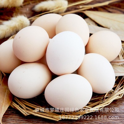 批发长期大量供应新鲜鸡蛋大别山农村鲜鸡蛋红蛋粉蛋360枚/箱图4