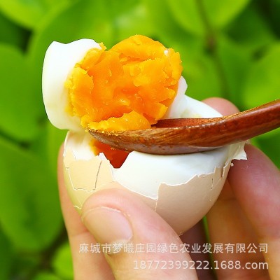 批发长期大量供应新鲜鸡蛋大别山农村鲜鸡蛋红蛋粉蛋360枚/箱图5