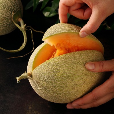新疆哈密瓜吐鲁番产地直发西州密包邮当季 水果甜瓜新鲜脆甜6-9斤图5