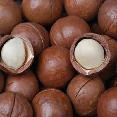 天虹牌大颗粒夏威夷果500克袋办公室零食现货图3