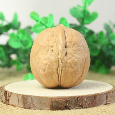 新疆阿克苏185纸皮核桃批发500g 新货手捏大核桃坚果薄皮生核桃图2