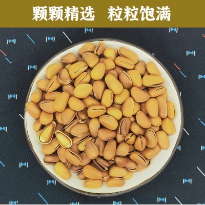 【开口松子】500g手剥散装开心大颗粒东北新货坚果图2