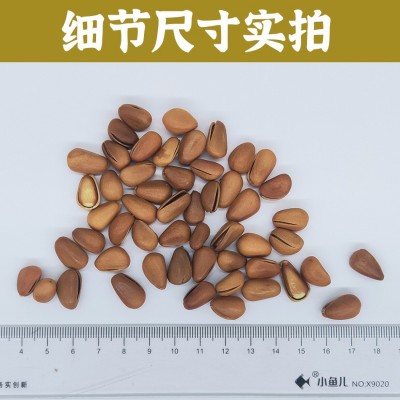 【开口松子】500g手剥散装开心大颗粒东北新货坚果图3