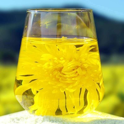 大量批发金丝皇菊散装原产地直发新花泡开5-7公分菊花茶一朵一杯图5