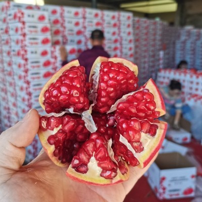 顺丰突尼斯软籽石榴会理石榴红石榴产地直发一件代发石榴供应链图2