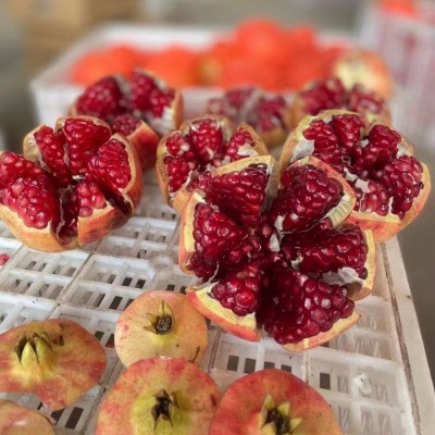 顺丰四川会理石榴突尼斯软籽石榴现摘现发四川会理发货一件代发图3