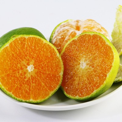 预售四川眉山早熟薄皮青皮蜜桔新鲜采摘现摘现发新鲜水果一件代发