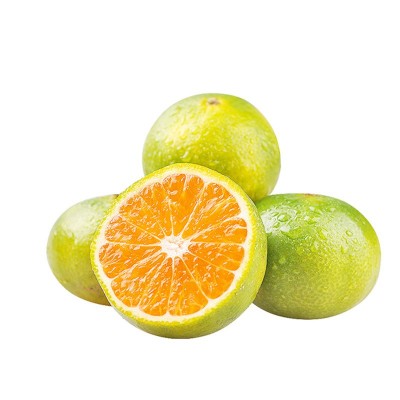 预售四川眉山早熟薄皮青皮蜜桔新鲜采摘现摘现发新鲜水果一件代发图5