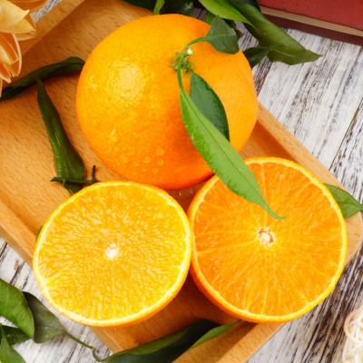 一件代发四川眉山东坡脐橙 非赣南橙新鲜采摘纽荷尔甜橙子5斤9斤