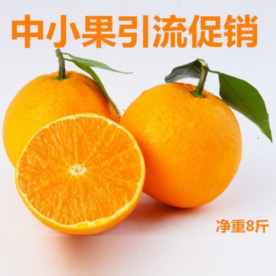 批发四川眉山丹棱时令水果脐橙 现摘新鲜水果橙子小果8斤一件代发