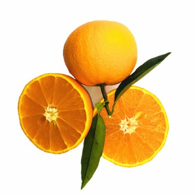 批发四川眉山丹棱时令水果脐橙 现摘新鲜水果橙子小果8斤一件代发图4