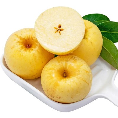 80#以上14-16粒/箱烟台黄金维纳斯苹果精品自家基地霜降后晚采，图5