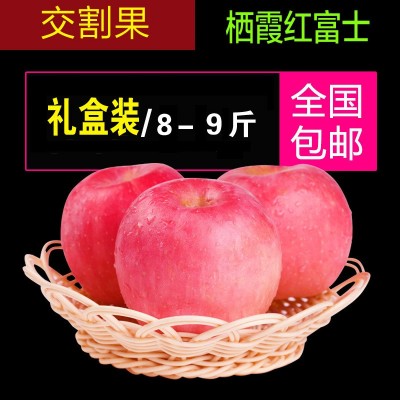 80#以上14-16个/箱烟台苹果套袋精品自家基地霜降后晚采,一级苹 80#以上14-16个/箱烟台苹果套袋精品自家基地霜降后晚采,一级苹