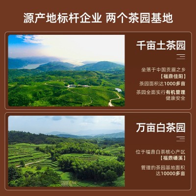 福鼎白茶正宗白牡丹三年陈饼干茶小方片茶叶伴手礼盒装160g图2