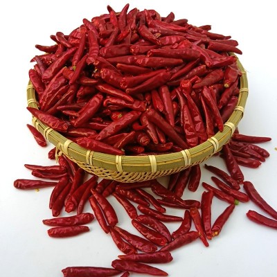 内黄新一代干辣椒大量批发重庆火锅专用特辣香朝天椒厂家现货直销图4