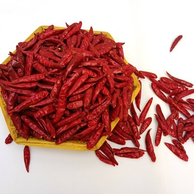 河南新一代干辣椒朝天椒三樱椒大量批发火锅底料厂家现货直销图4