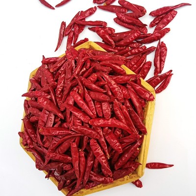 河南新一代干辣椒朝天椒三樱椒大量批发火锅底料厂家现货直销图3