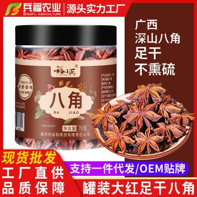 罐装八角大茴香大料足干新货香辛料厨房调料70g无硫卤肉炒菜