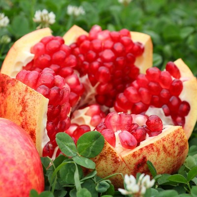 正宗四川会理软籽石榴当季新鲜孕妇水果突尼斯石榴果园直发图2