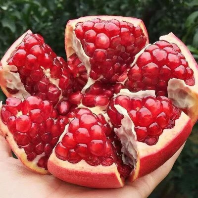 正宗四川会理软籽石榴当季新鲜孕妇水果突尼斯石榴批发果园直发图2