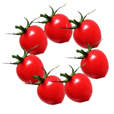 台湾诺粉008樱桃番茄种子粉红小西红柿种子圣女果口感番茄籽图5