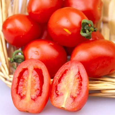 台湾诺粉008樱桃番茄种子粉红小西红柿种子圣女果口感番茄籽图4