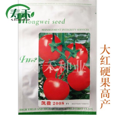 凯撒2008番茄种子 高产大红果番茄 大田专用抗病西红柿品种图3