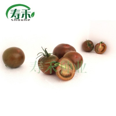进口黑珍珠1号2号 黑番茄种子 樱桃小番茄 紫黑色圣女果种子批发图3