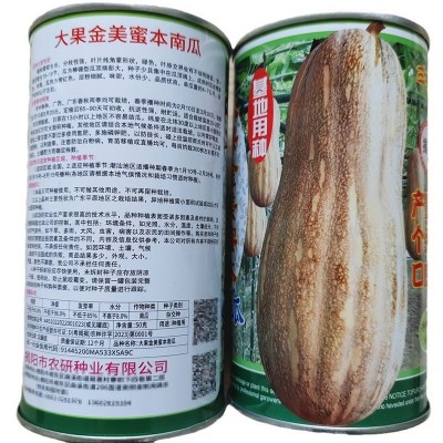 大果蜜本南瓜种子 蜜本南瓜种子 50克罐装 甜粉面南瓜 高产量杂交图4