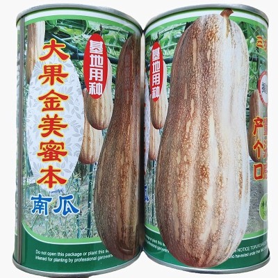 大果蜜本南瓜种子 蜜本南瓜种子 50克罐装 甜粉面南瓜 高产量杂交图5