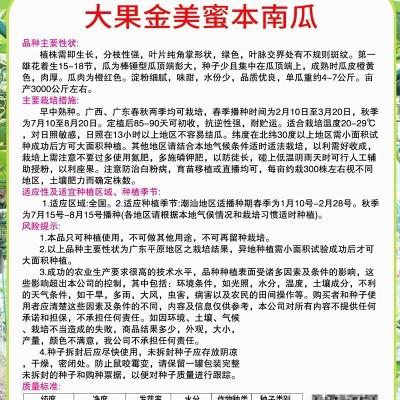 大果蜜本南瓜种子 蜜本南瓜种子 50克罐装 甜粉面南瓜 高产量杂交图3