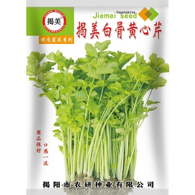 揭美白骨黄心芹种子 小香芹芹菜籽 阳台盆栽农田蔬菜种子400克装图4