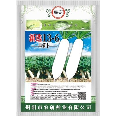 新选13-6早熟萝卜种子 白萝卜蔬菜种子耐热早萝卜秋季良种 500克图5