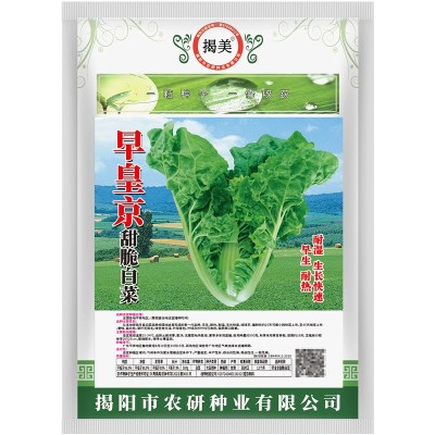 揭美早皇京甜脆白菜种子 半结球型白菜 蔬菜种子 原装500克图2