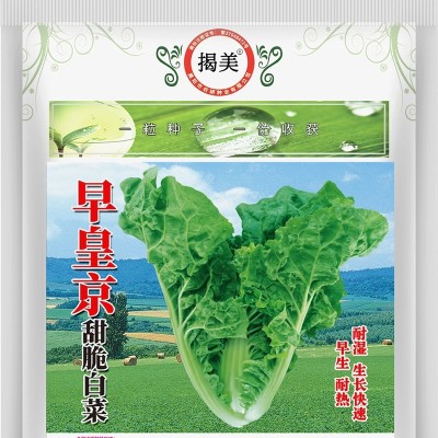 揭美早皇京甜脆白菜种子 半结球型白菜 蔬菜种子 原装500克图3