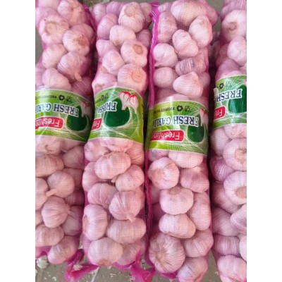 2025年邳州净蒜新蒜新蒜10KG网袋源头工厂含商检原产地直发蒜头杂图2