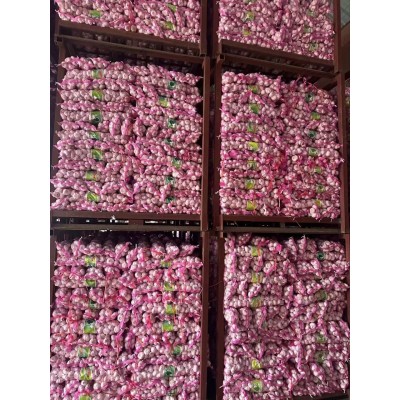 2025年邳州净蒜新蒜新蒜10KG网袋源头工厂含商检原产地直发蒜头杂图4