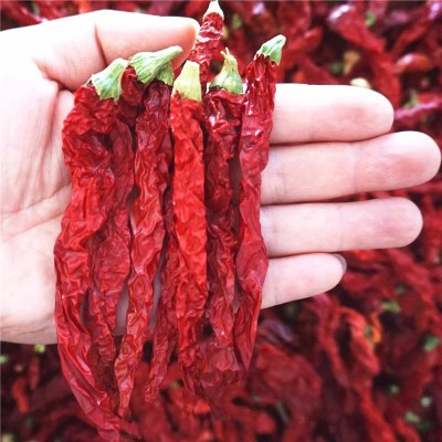 二荆条干辣椒微辣特香贵州四川特产农家辣椒皱椒二金条辣椒批发 二荆条干辣椒微辣特香贵州四川特产农家辣椒皱椒二金条辣椒批发