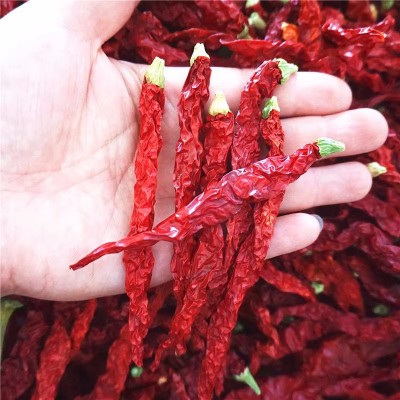 二荆条干辣椒微辣特香贵州四川特产农家辣椒皱椒二金条辣椒批发图2