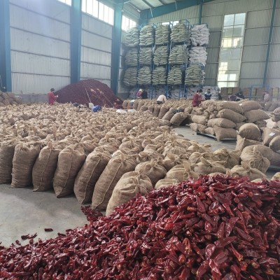 现货红不辣益都红辣椒北京红新疆板椒干辣椒红油专用大量批发图4