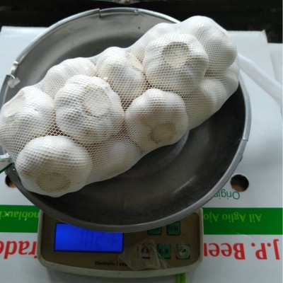 大蒜源头基地,长期出租冷库,代收代存金乡大蒜,承接出口订单 大蒜源头基地,长期出租冷库,代收代存金乡大蒜,承接出口订单