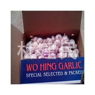 大蒜源头基地，长期出租冷库，代收代存金乡大蒜，承接出口订单图4