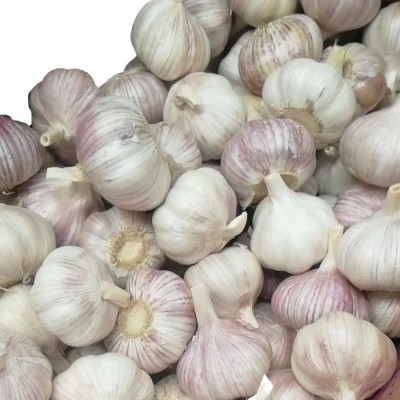 大蒜源头基地，长期出租冷库，代收代存金乡大蒜，承接出口订单图5